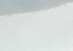 人造霧織就無形畫卷，賦能多維空間的生態(tài)科技
